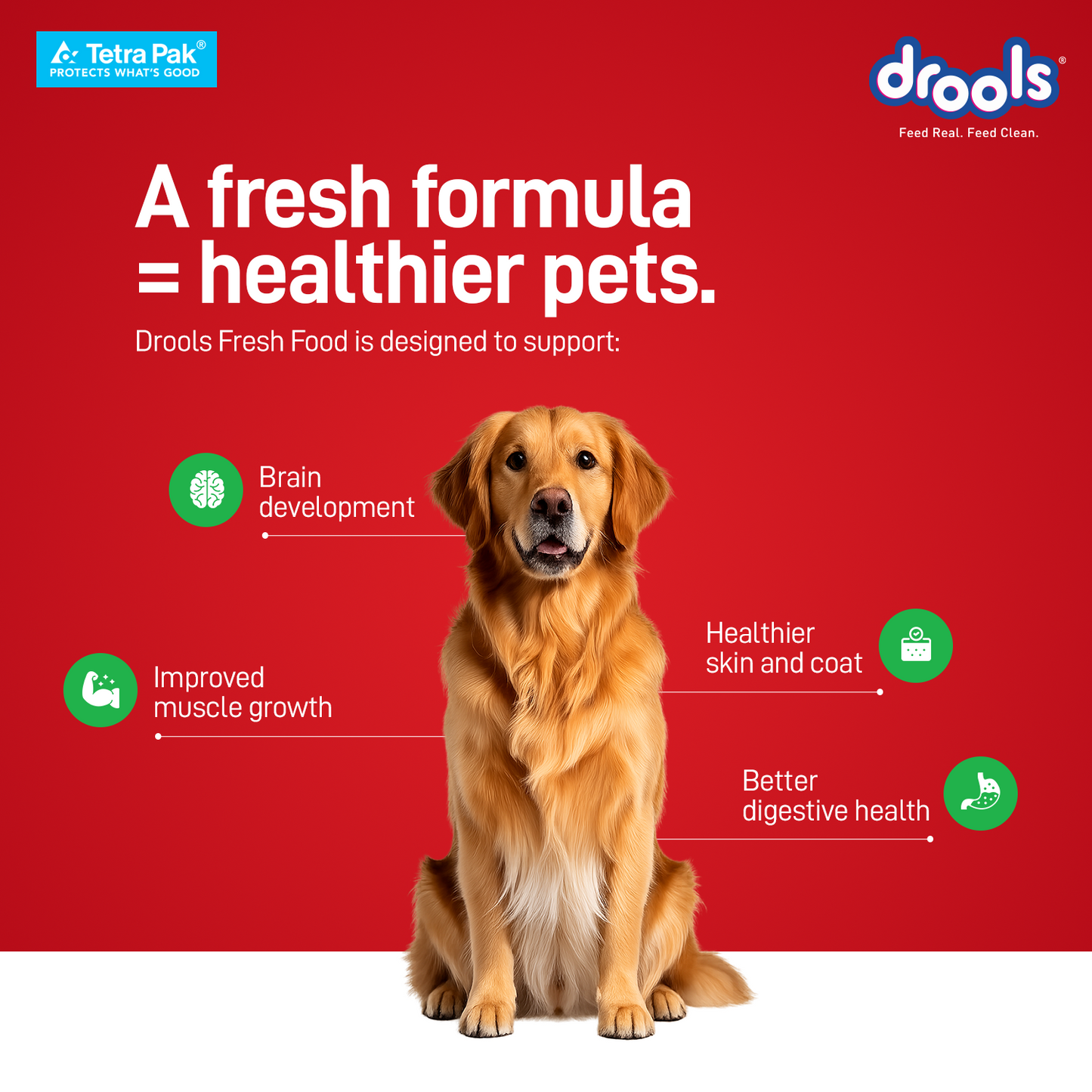 Drools Tetra Pack Real Chicken Veggies 150gm for Puppy / Dogs