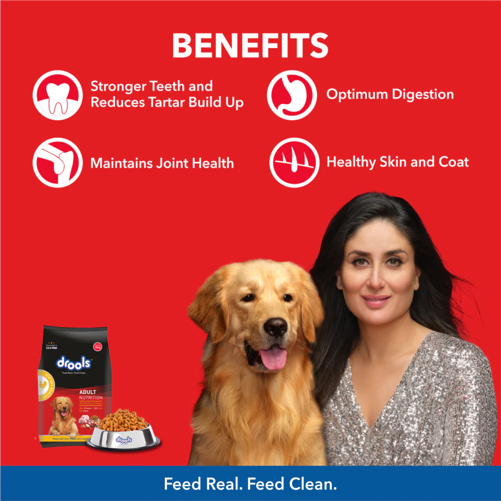 Drools Chicken & Egg Dry Food for Dogs - Adult