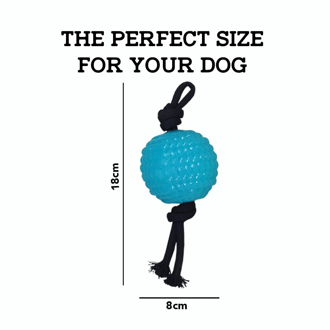 Plushmate x Petaholic Chew Toy - Ball Rope