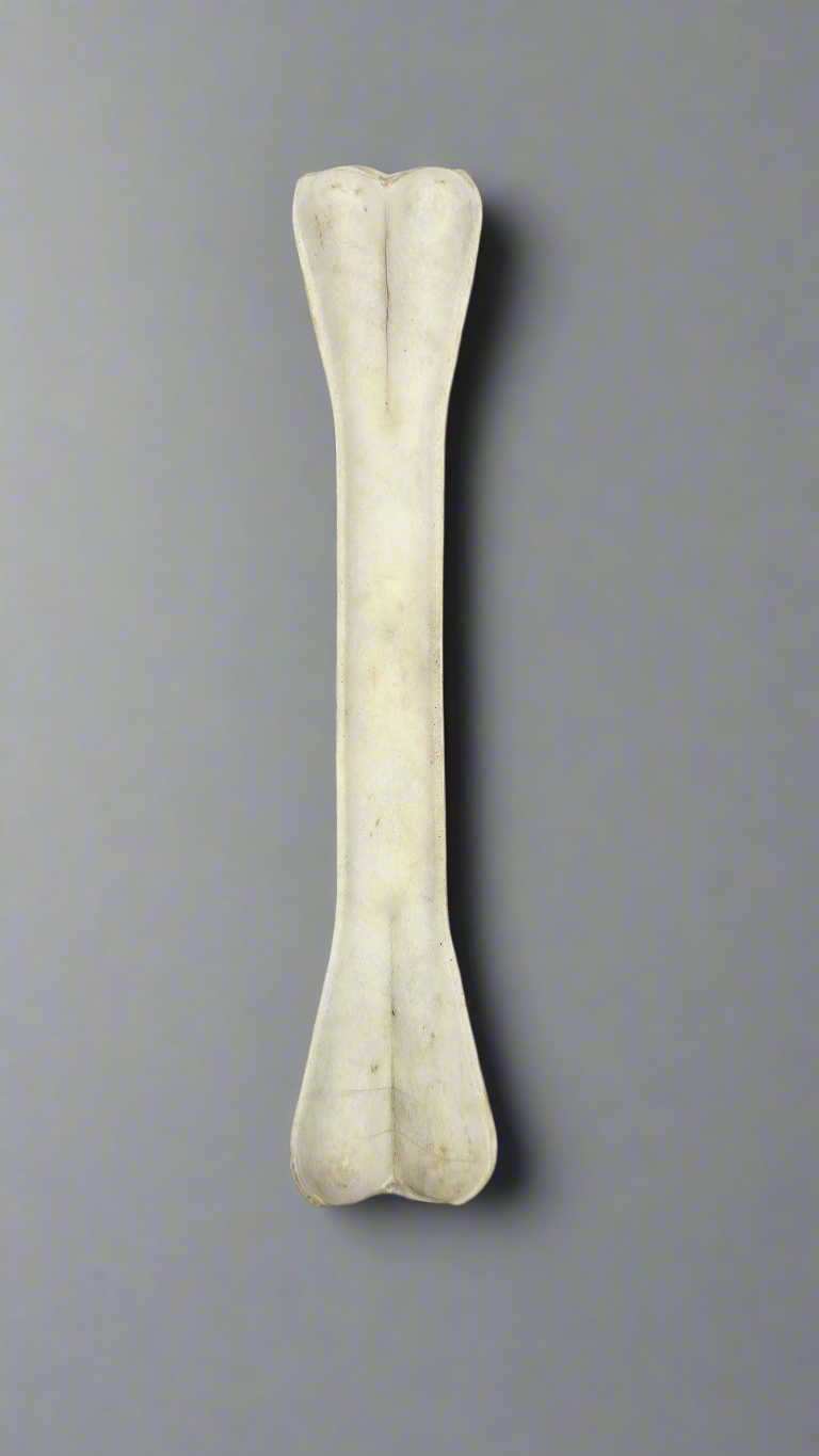 Rawhide Tough Chew Bones for Puppies & Dogs 12 inch - 1 pc