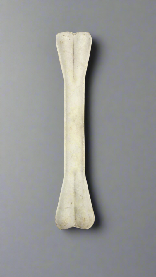 Rawhide Tough Chew Bones for Puppies & Dogs 12 inch - 1 pc