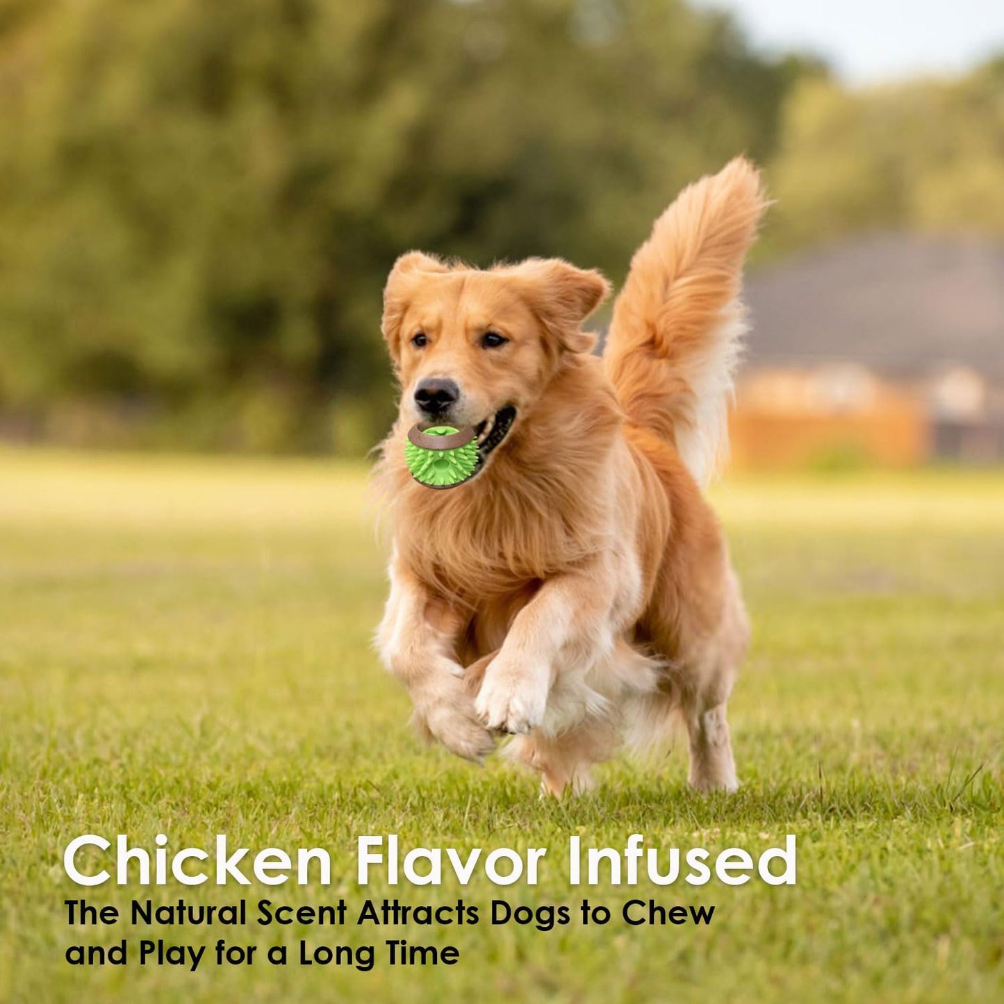 Plushmate x Petaholic Durable Nylon Hard Chew Toy & Treat Dispenser for Medium and Large Breed Dogs - Herring Bone