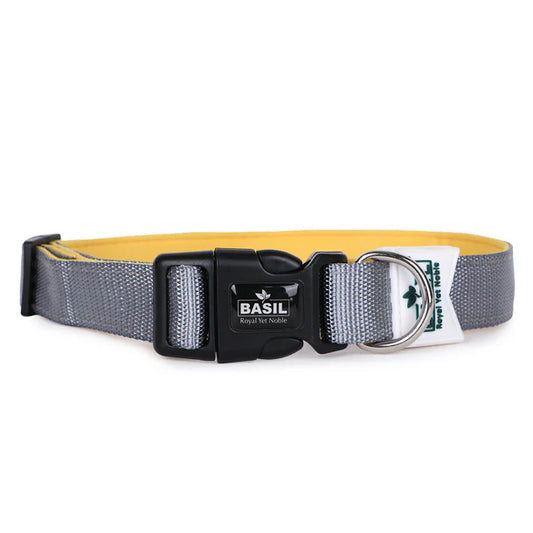 Basil Padded Adjustable Collar for Puppy / Dogs - Grey