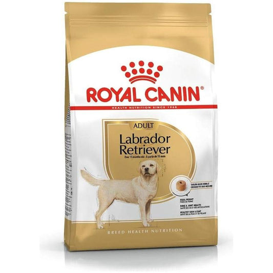 Royal Canin Labrador Adult
