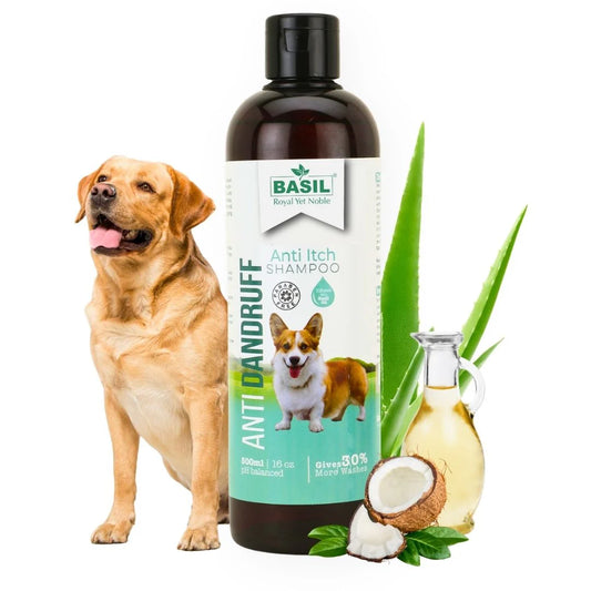 Basil Anti Itch Shampoo For Dogs - Anti Dandruff