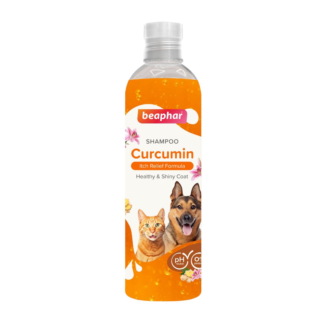 Beaphar Curcumin Shampoo for Dogs / Cats 250 ml