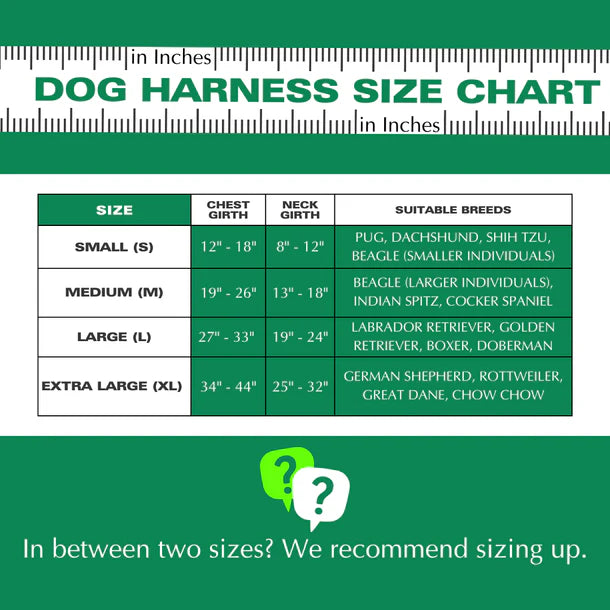 Basil Padded Adjustable Harness / Body Belt for Dogs & Puppies (Grey)