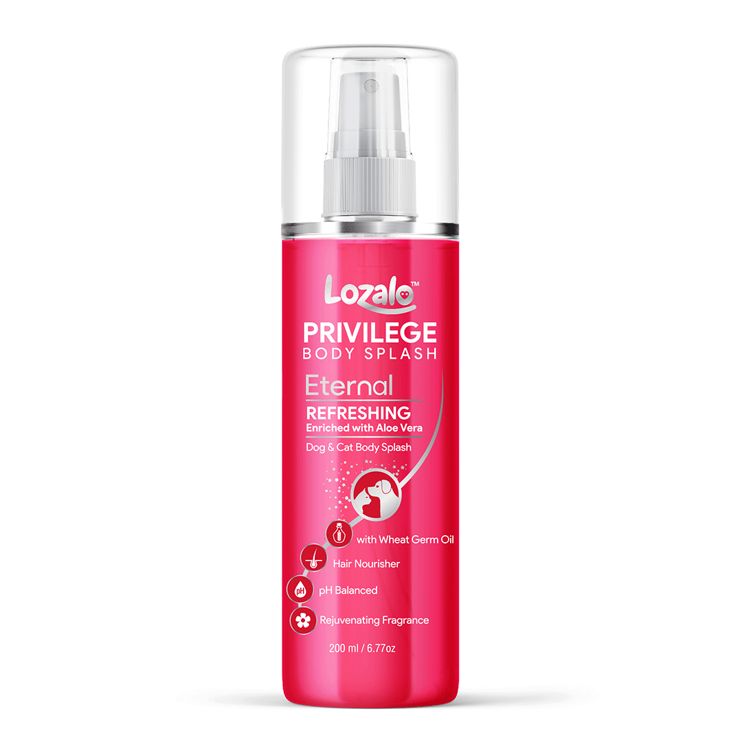 Lozalo Privilege Body Splash Perfume 200 ml (Eternal)