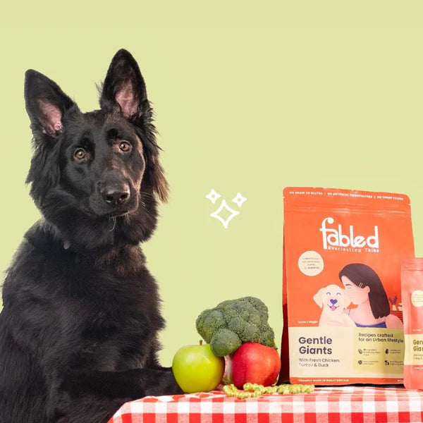 Fabled Premium Dry Food for Puppy / Dogs - Gentle Giant