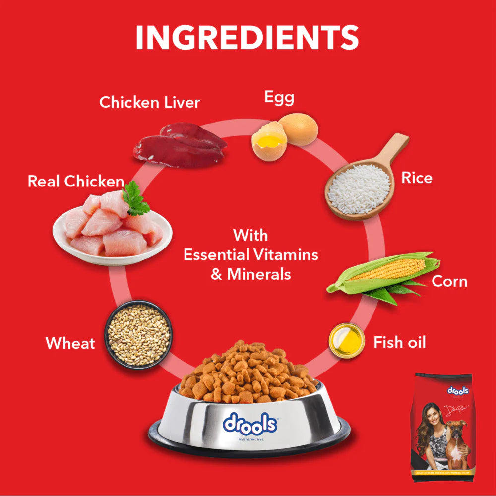 Drools Chicken & Egg Dry Food for Dogs - Adult