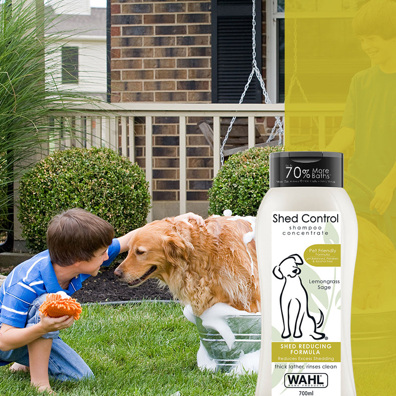 Wahl Shampoo for Dogs - Shed Control