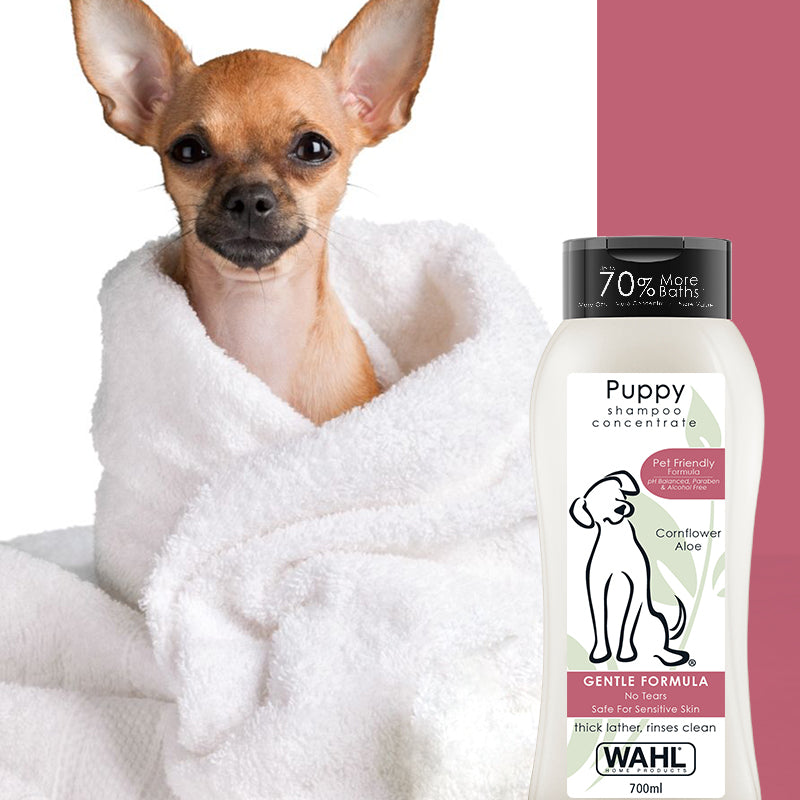 Wahl Shampoo for Dogs - Puppy