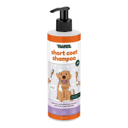Pawpaya Short Coat Shampoo for Dogs 250 ml
