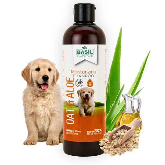 Basil Moisturizing Shampoo For Dogs - Oat & Aloe
