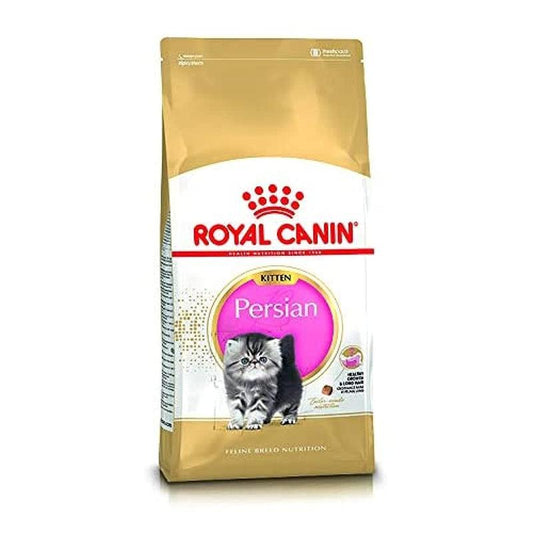 Royal Canin Persian Kitten