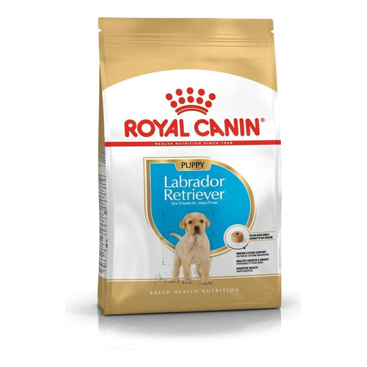 Royal Canin Labrador Puppy