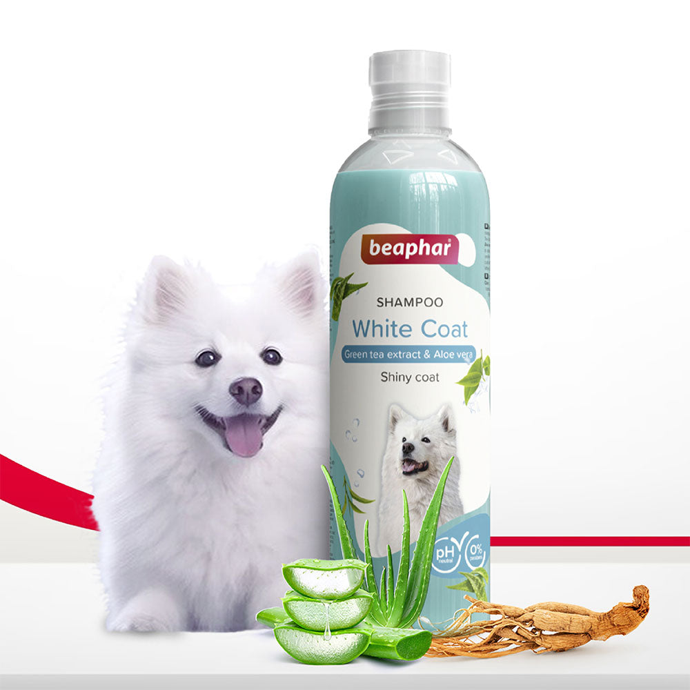 Beaphar White Coat Shampoo for Dogs 250 ml