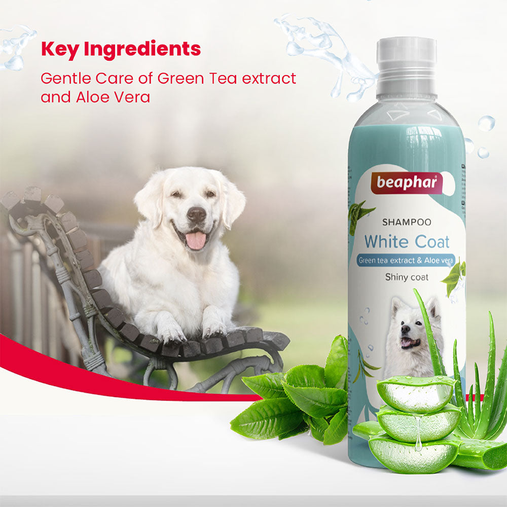 Beaphar White Coat Shampoo for Dogs 250 ml