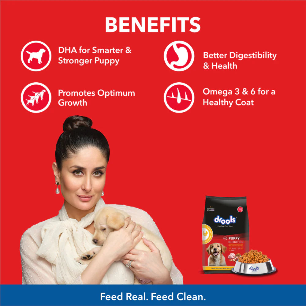 Drools Chicken & Egg Dry Food for Dogs - Puppy